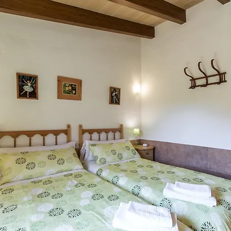 Catalina - Catalina Petit Willa *